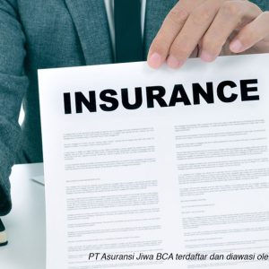 Kenapa Asuransi Sangat Penting Untuk Stabilitas Finansial