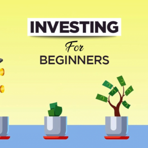 Apa Itu Investasi Yang Aman Untuk Pemula